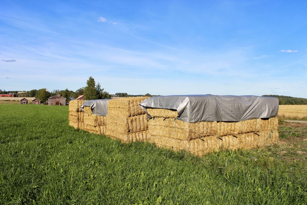 Hernieuwbare grondstoffen in isolatie; hoe gaan we hier mee om? Hernieuwbare grondstoffen in isolatie; hoe gaan we hier mee om?