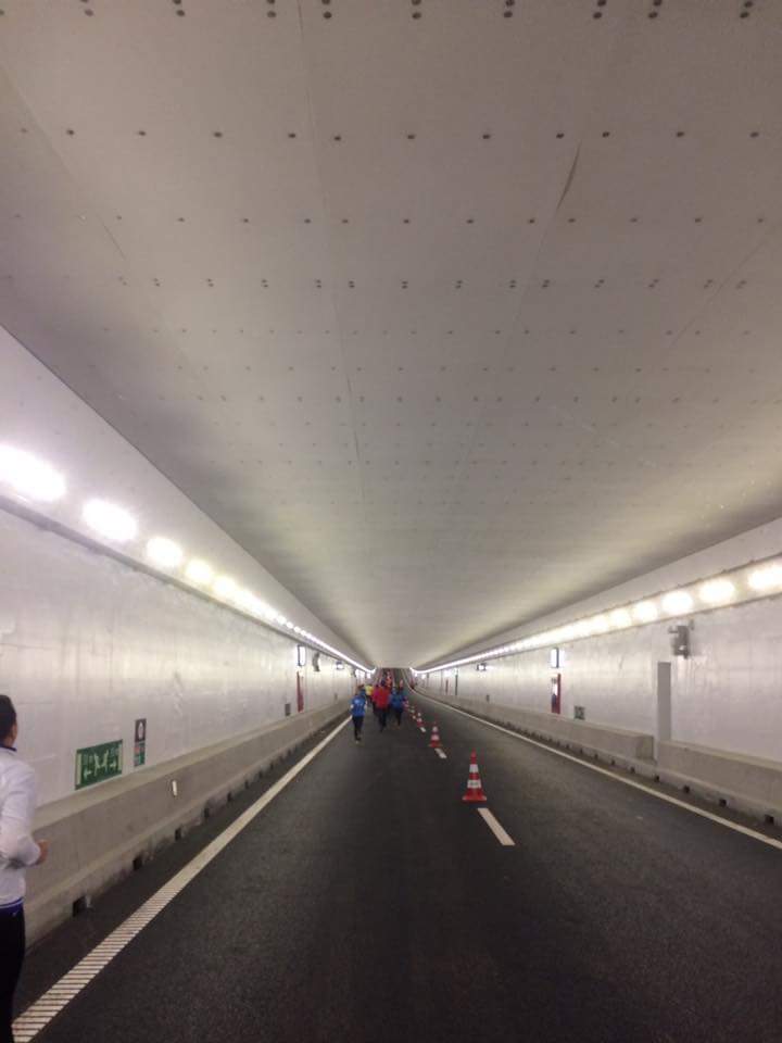 fischer Projects: Velsertunnel fischer Projects: Velsertunnel