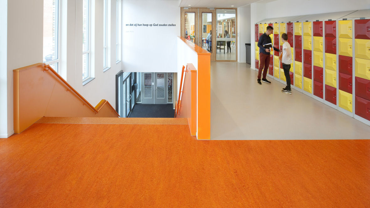 Nieuwe school kleurt Leidse Houtkwartier Nieuwe school kleurt Leidse Houtkwartier