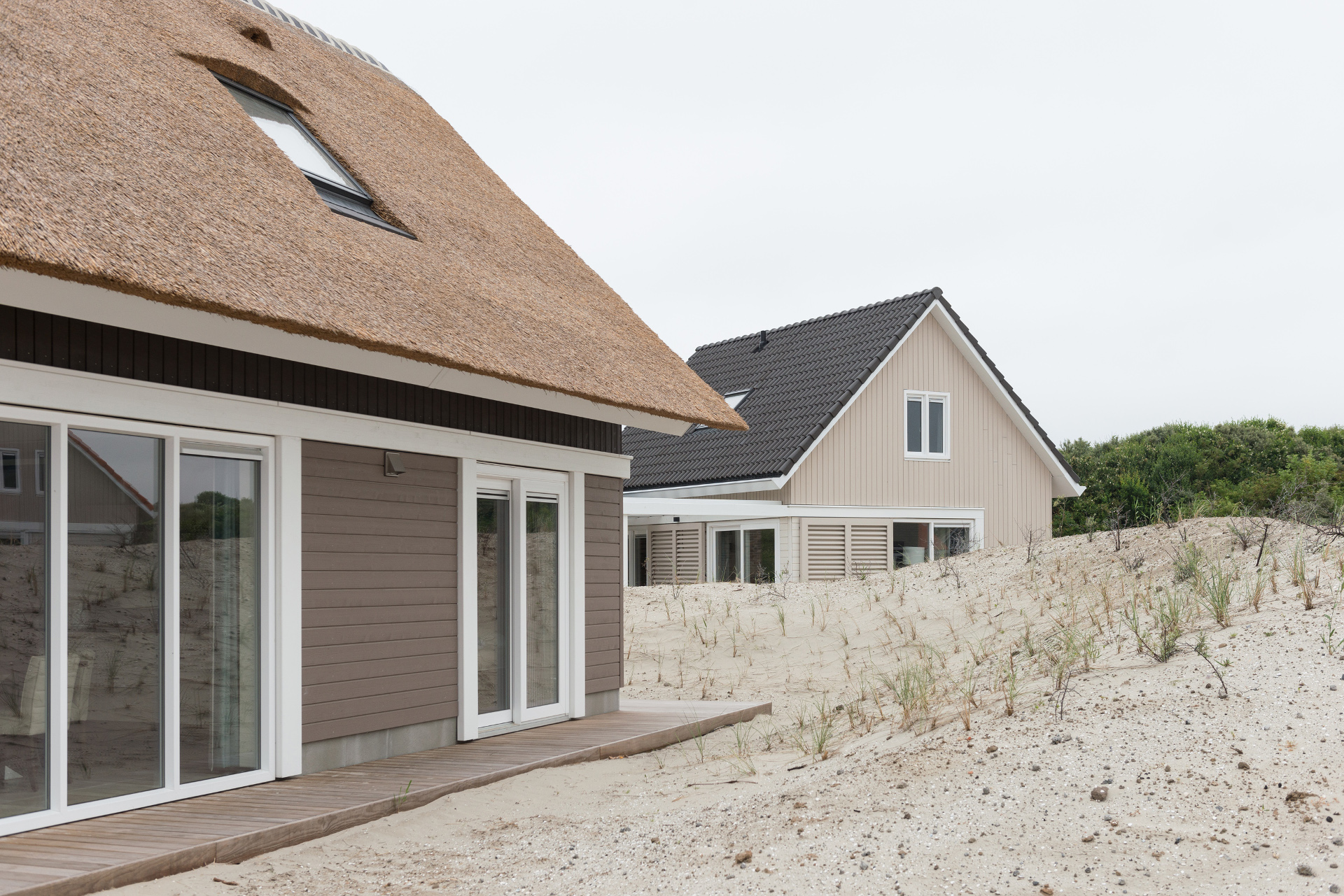 ModiWood gemodificeerd hout ModiWood gemodificeerd hout