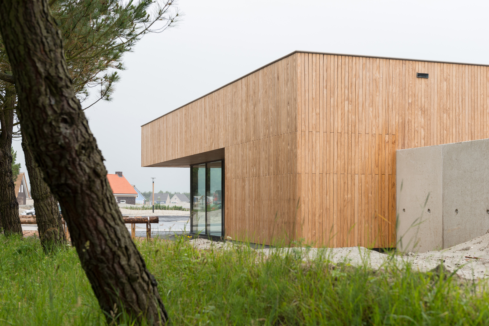 ModiWood gemodificeerd hout ModiWood gemodificeerd hout