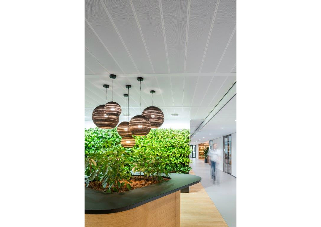 Hunter Douglas C3 PCM Klimaatplafond bij Flora Holland Hunter Douglas C3 PCM Klimaatplafond bij Flora Holland