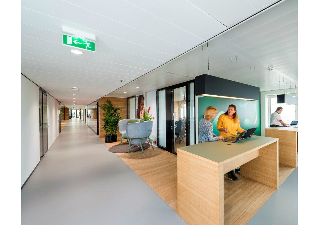 Hunter Douglas C3 PCM Klimaatplafond bij Flora Holland Hunter Douglas C3 PCM Klimaatplafond bij Flora Holland