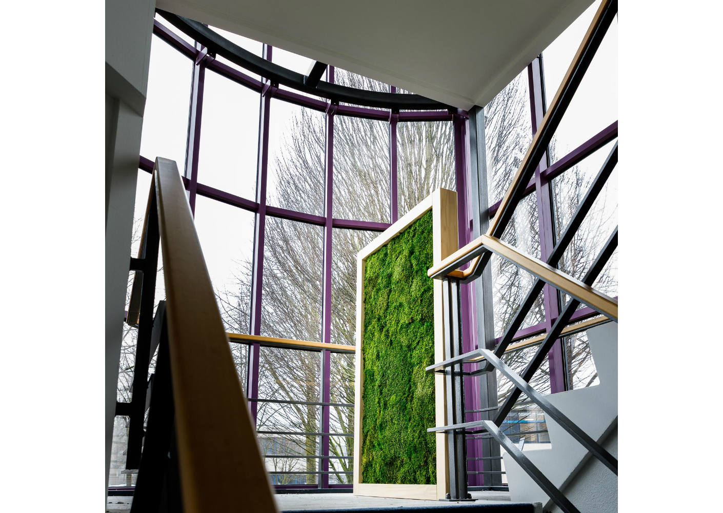 Metiez MossDividers Metiez MossDividers