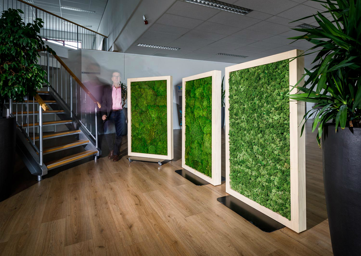 Metiez MossDividers Metiez MossDividers