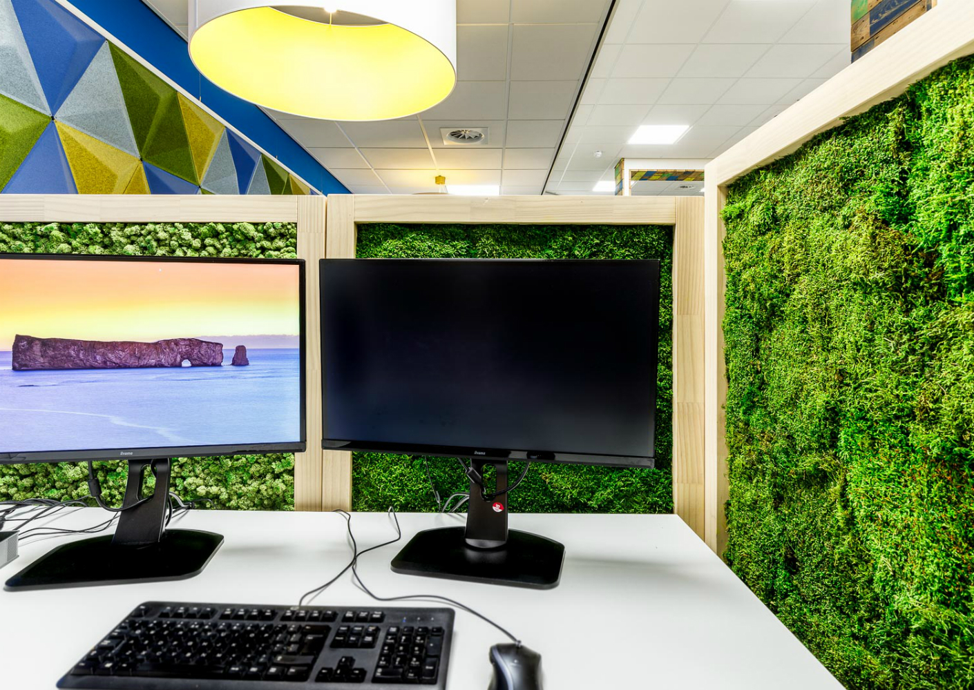 Metiez MossDividers Metiez MossDividers