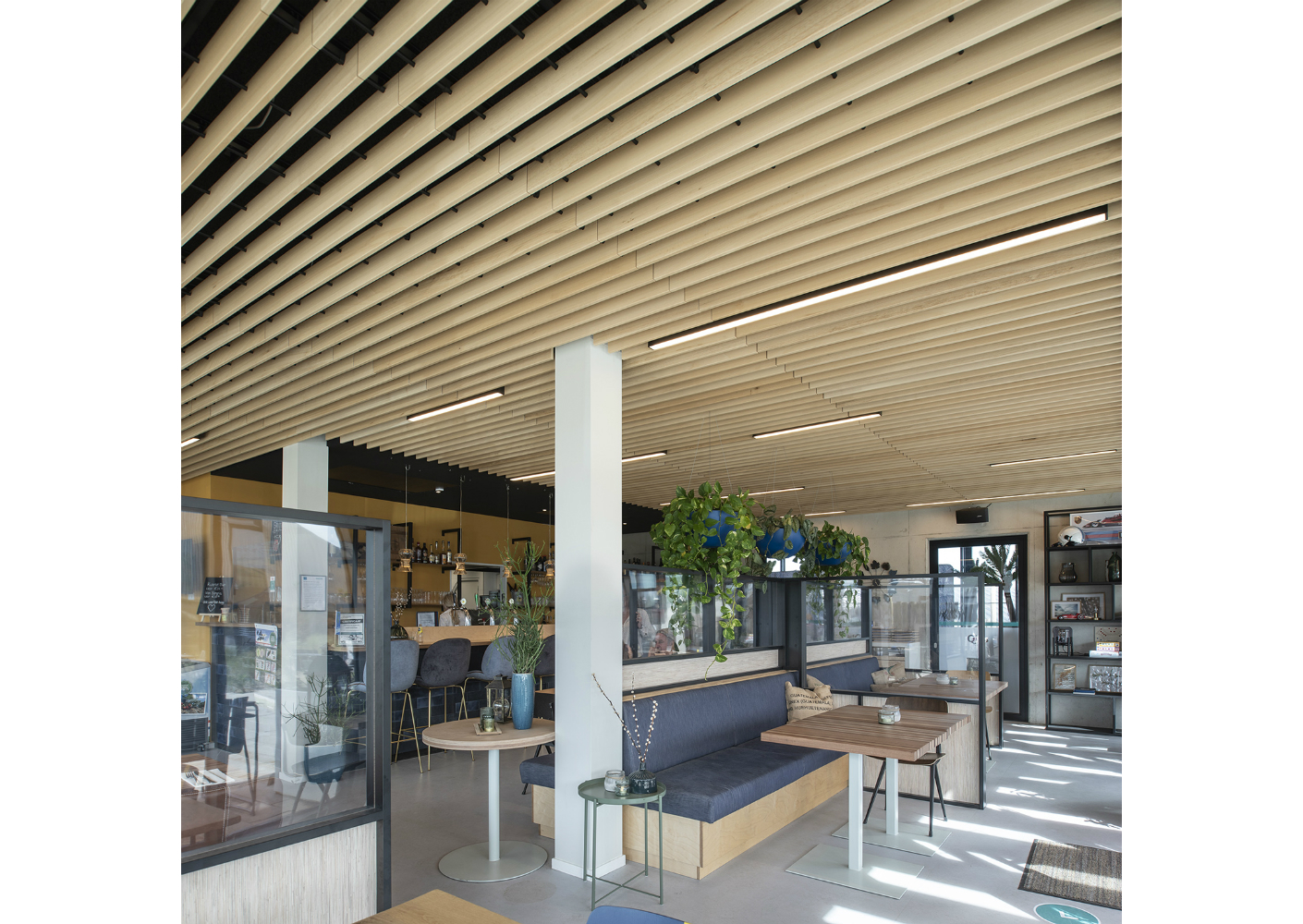Natuurlijk massief houten plafond geeft unieke uitstraling bij vakantiepark Qurios Natuurlijk massief houten plafond geeft unieke uitstraling bij vakantiepark Qurios
