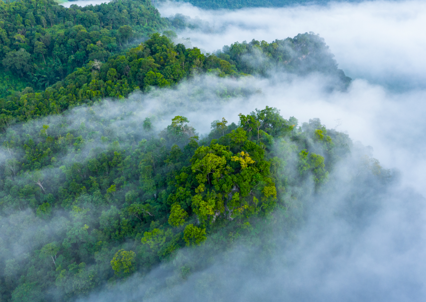 De VELUX Groep sluit zich aan bij RE100 en Business for Nature