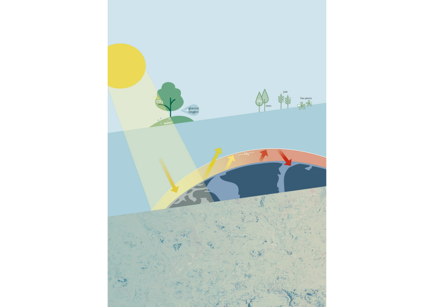 Infographic Marmoleum CO2-neutraal Infographic Marmoleum CO2-neutraal