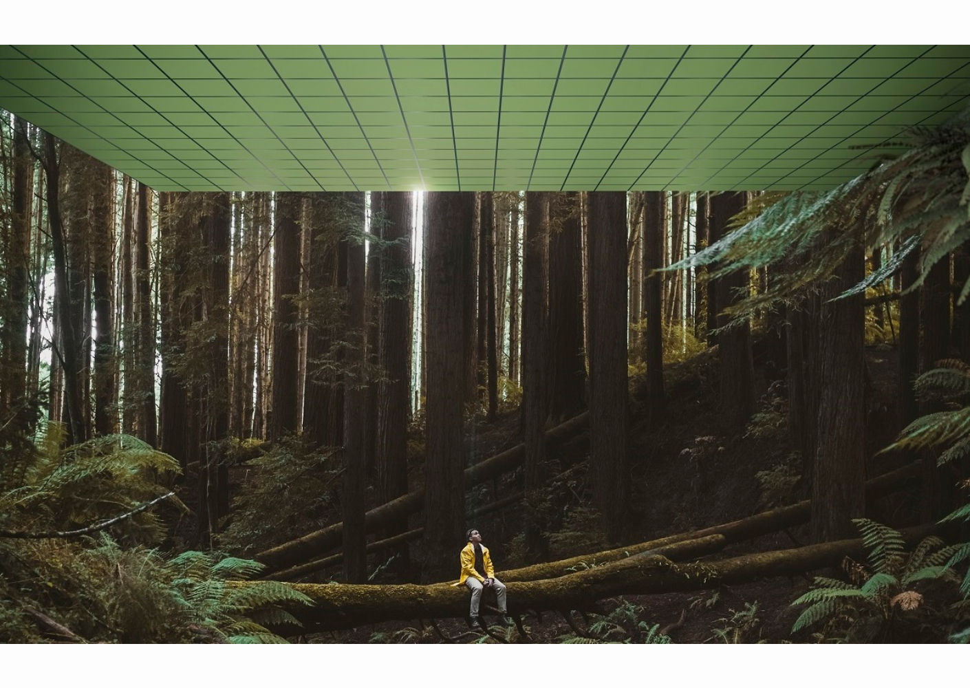 Ecophon: the sound of nature Ecophon: the sound of nature