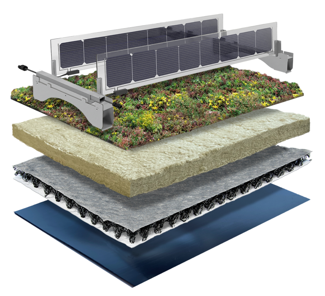 Opbouw lichtgewicht Solar Sedumdak.png