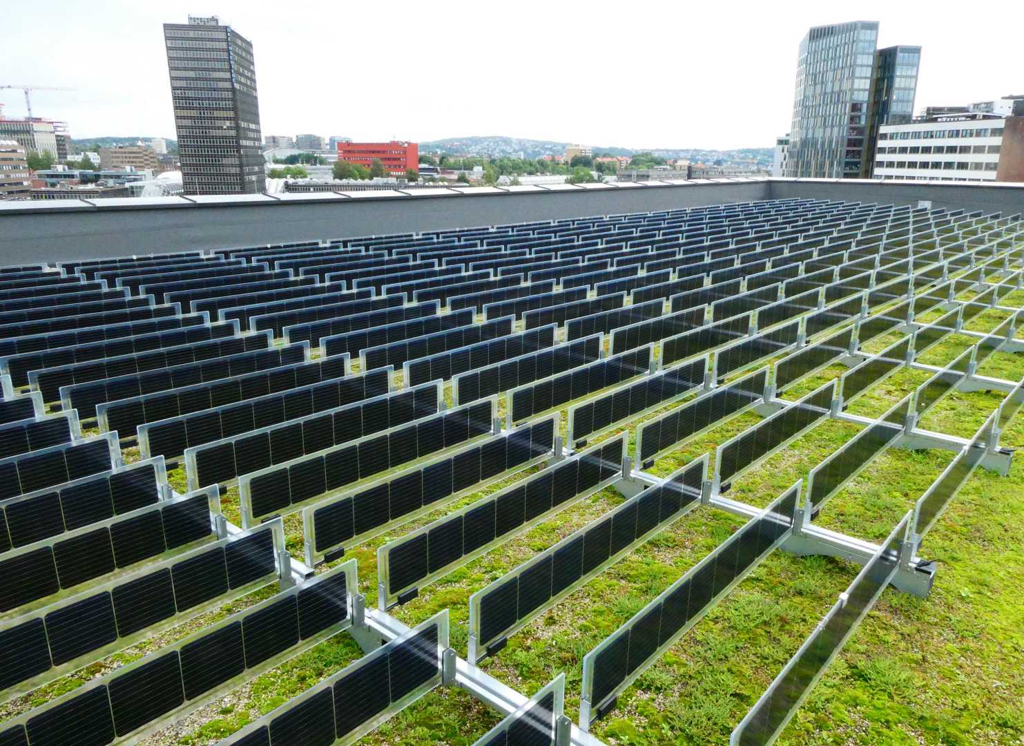 Zonnepanelen of groendak. Kiezen hoeft niet meer.JPG