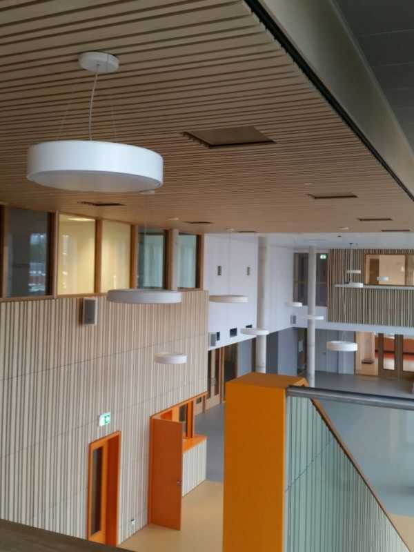 Ook op de middelbare school Driestar Leiden zijn houten wand- en plafondpanelen van Lambri te vinden. 