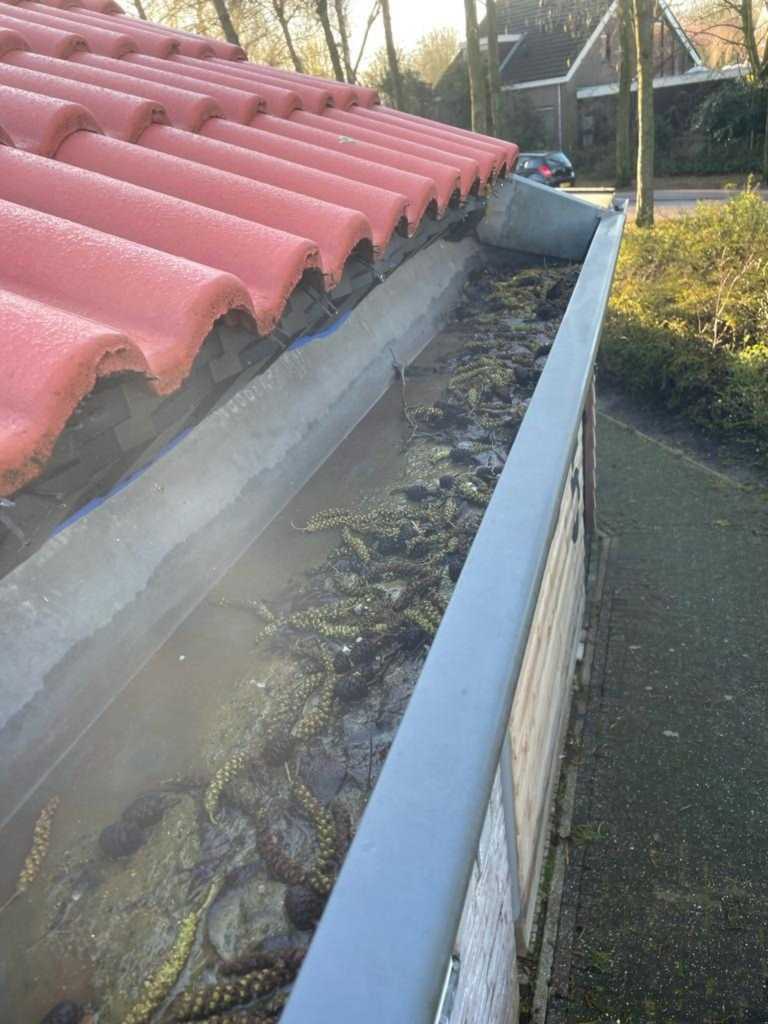 Dakgootbeheer 1.jpg