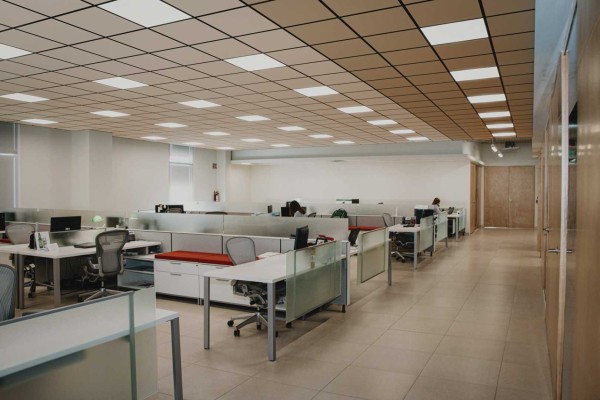 Kantoorruimte met plafondplaten en lichtelementen