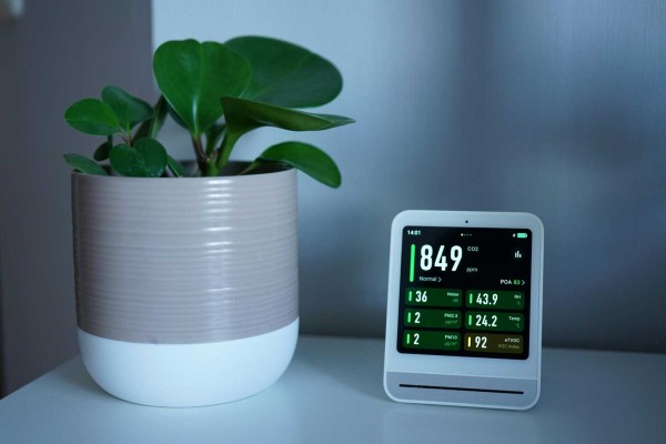 Klimaatmeter naast een vetplant