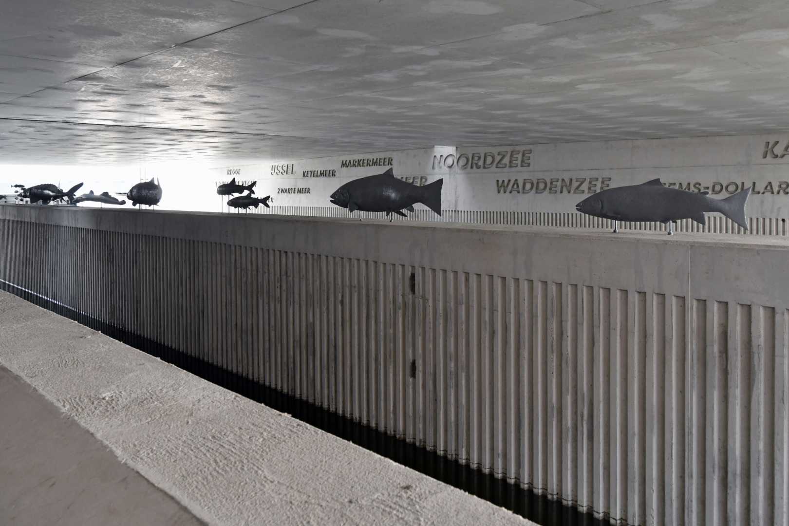 Vismigratierivier Coupeure - Doorgang in de afsluitdijk Vismigratierivier Coupeure - Doorgang in de afsluitdijk
