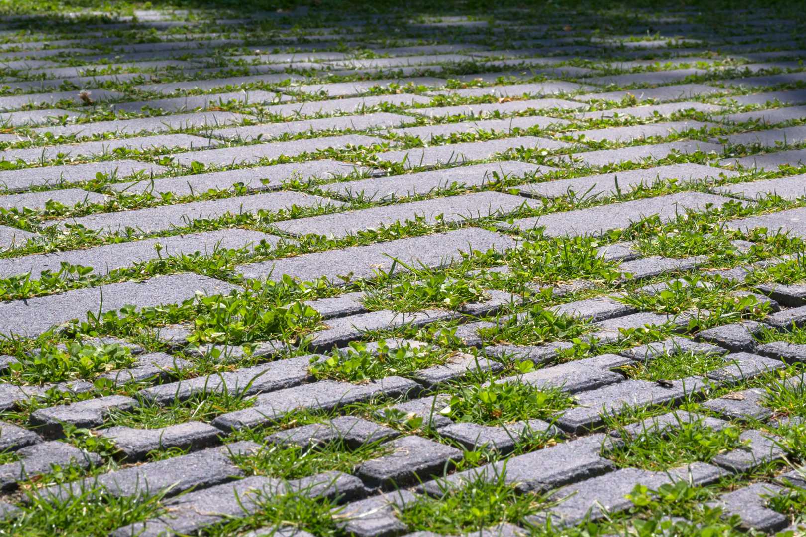 Waterpasserende betonstenen in Middelburg