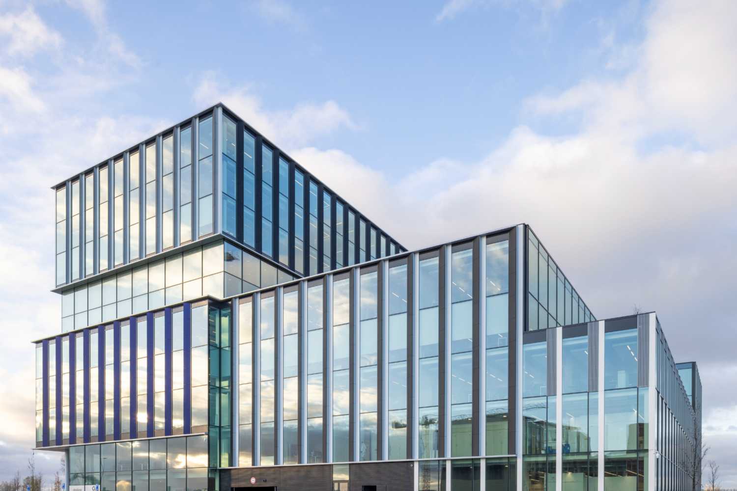 The Pulse of Amsterdam The Pulse of Amsterdam