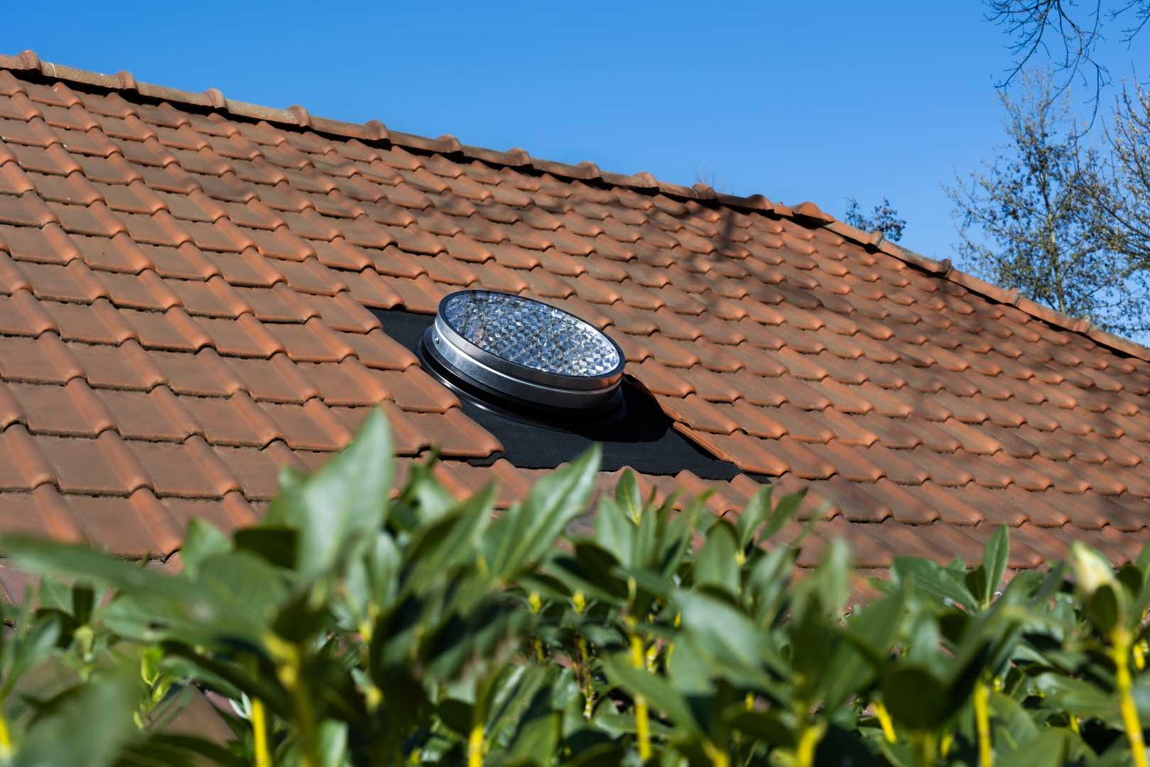 daglicht op een rood pannendak