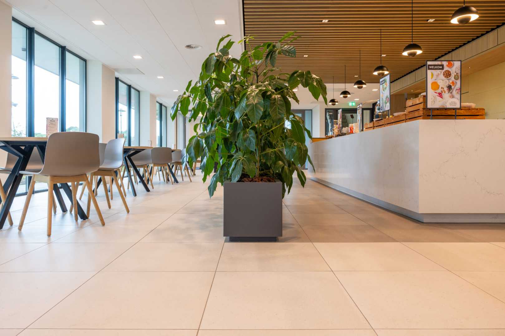 Mosa Solids Vivid White, Clay Grey, GeoKlinker Roma Den Bosch