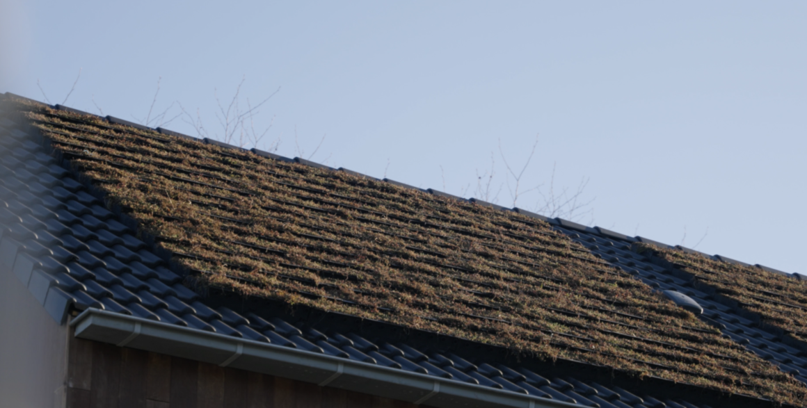 dak huizen met groene dakpannen