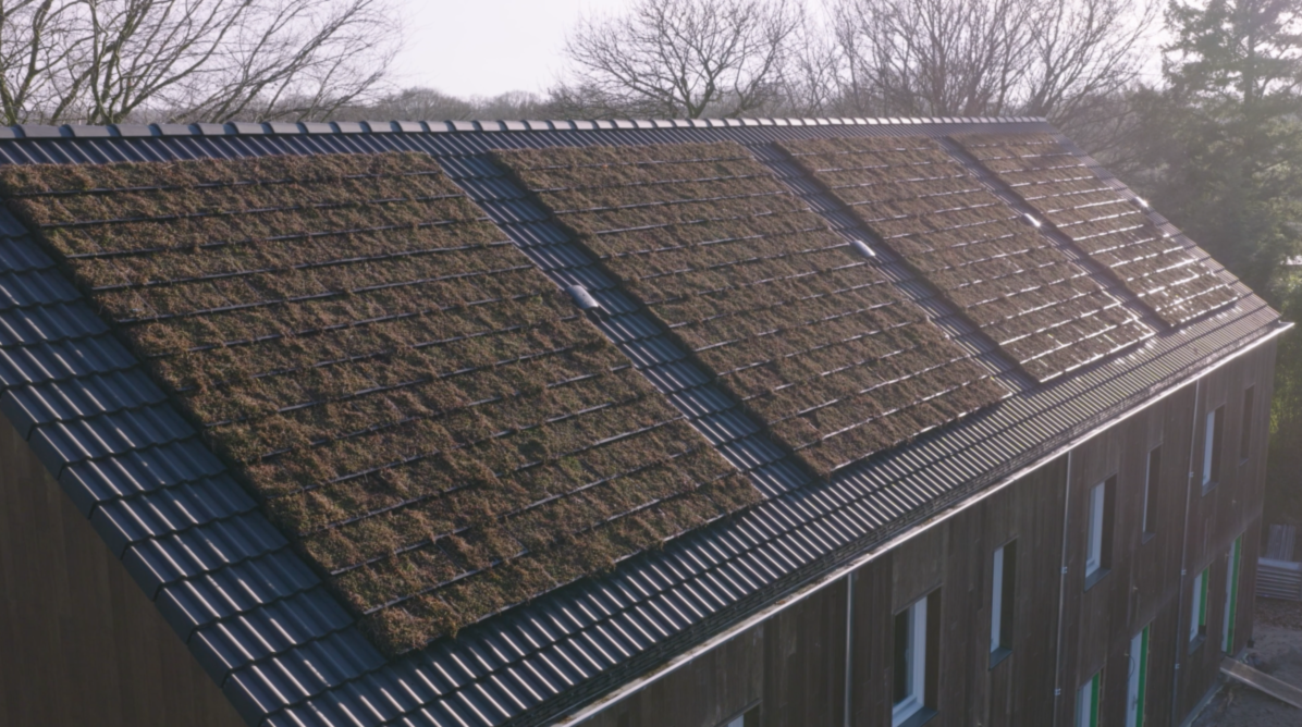 dak huizen met groene dakpannen