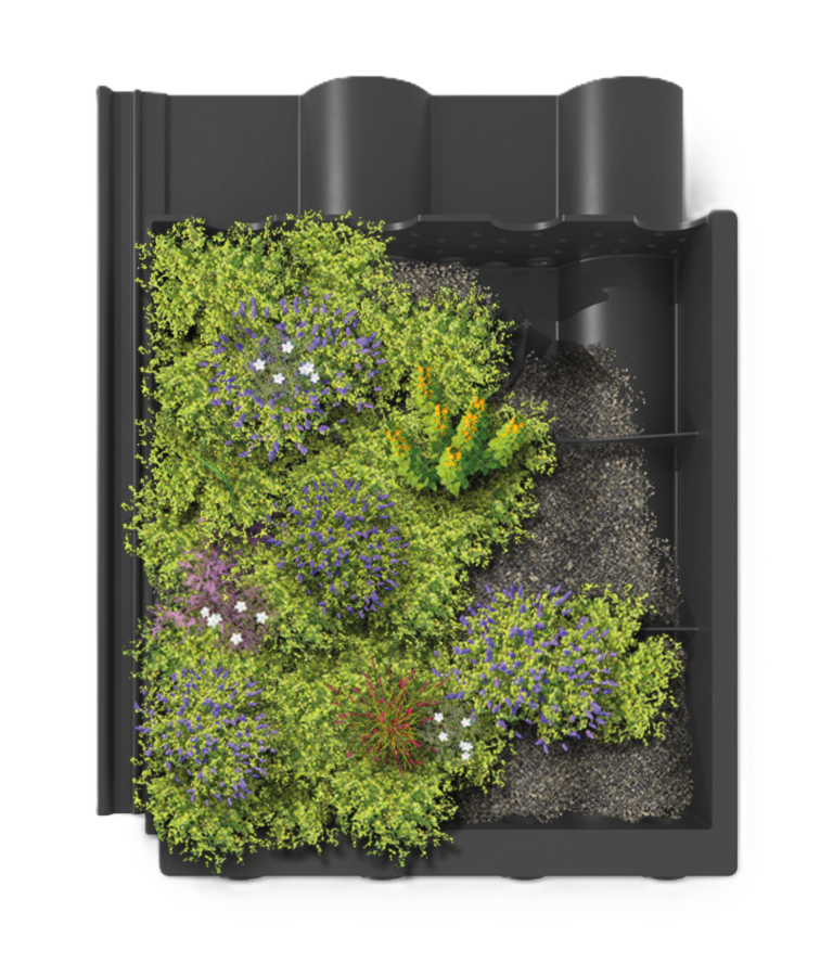 Dakpan met begroeing Dakpan met begroeing