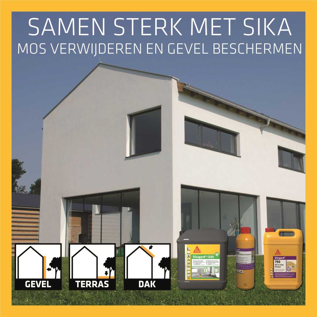 Mos verwijderen en gevel beschermen