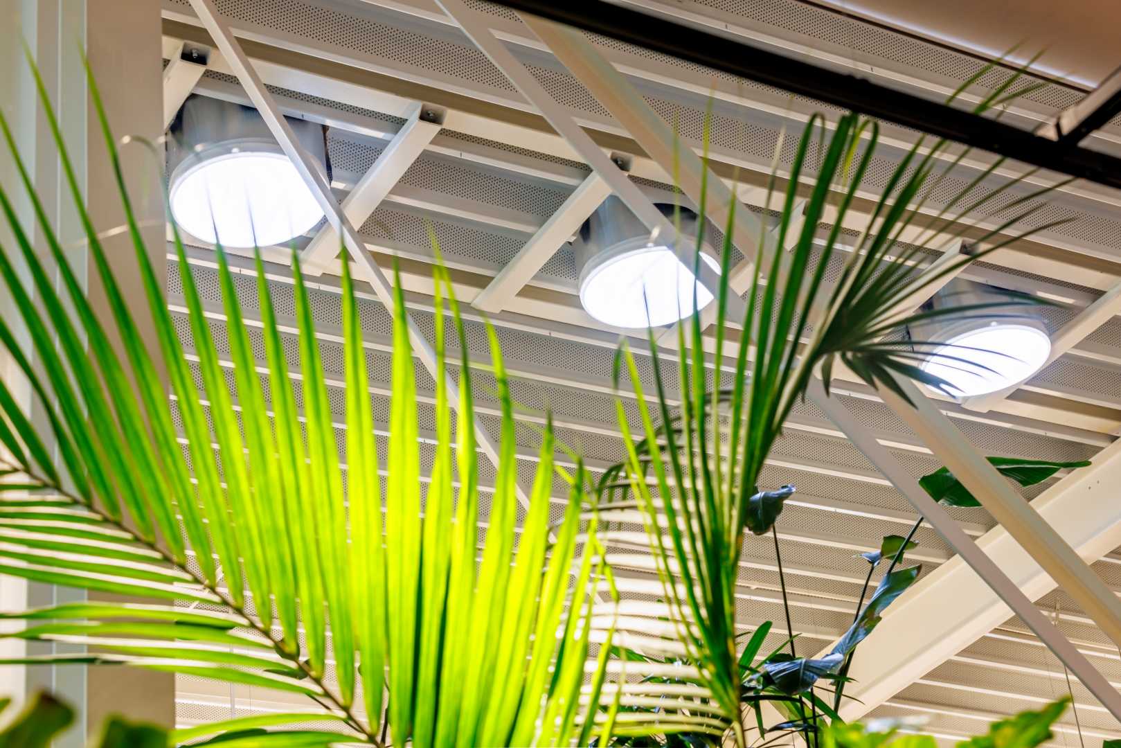 Powerdaylight daglichtbuis